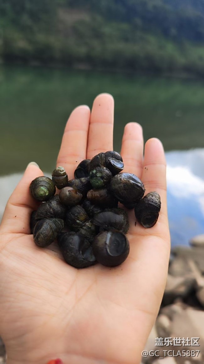 【Galaxy影像】自然的律動+ 記錄秋天