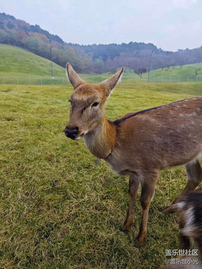 沈陽星部落云端草原行行攝攝活動回顧
