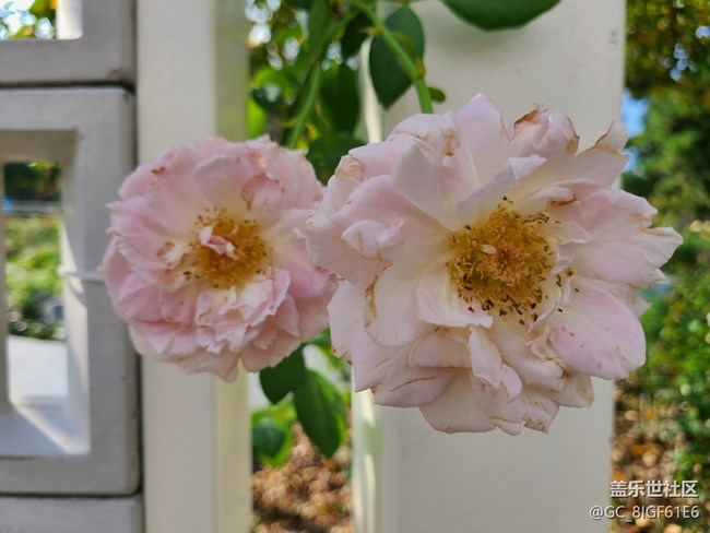 【十月的蜀國(guó)】+金秋十月