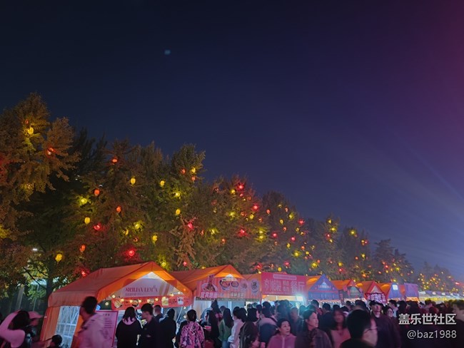 【奧森北園】+花海與燈光奧森