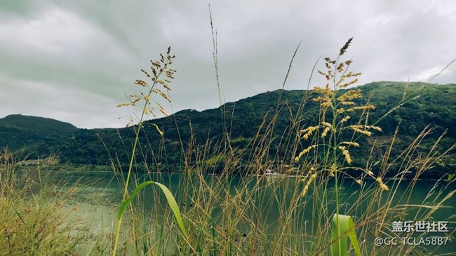 【Galaxy影像】自然的律動+ 記錄秋天