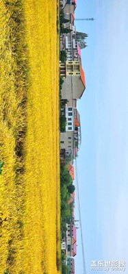 田野稻香 Galaxy S22UItra