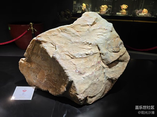 【我和我的祖國(guó)】 國(guó)之瑰寶 世界無雙