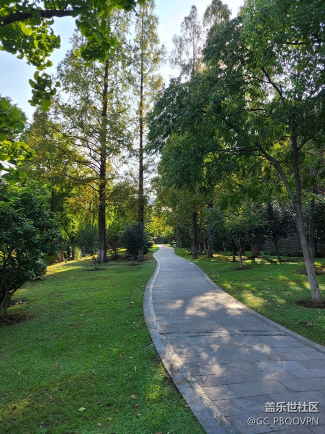 【最美秋色醉人心】秋天的公園