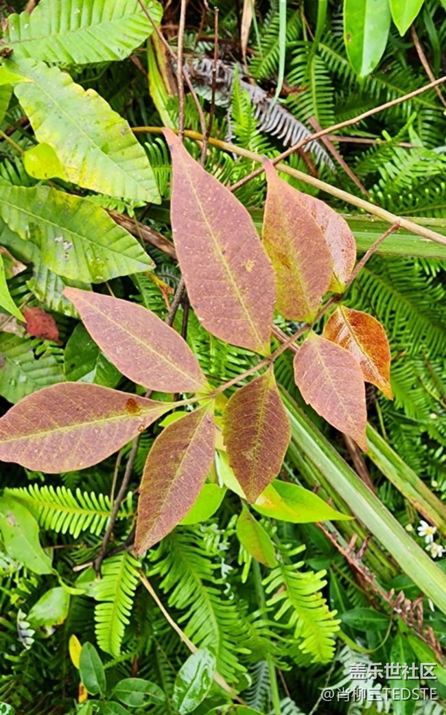 【最美秋色醉人心】秋景