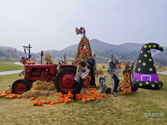 東北亞云端草原攝影活動回顧