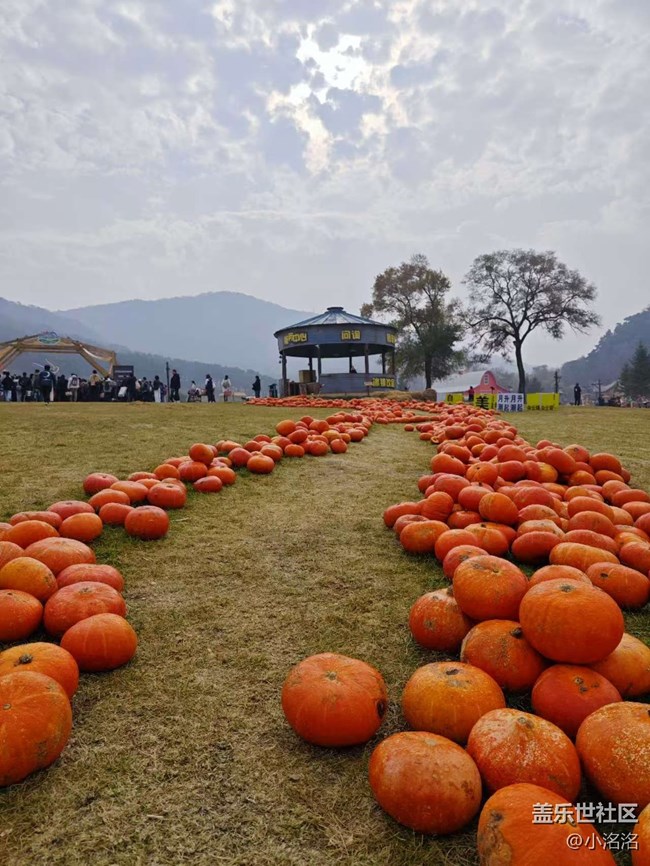 東北亞云端草原攝影活動回顧