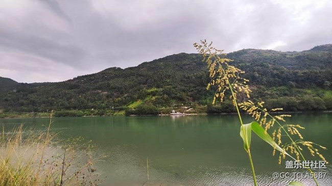 【Galaxy影像】自然的律動+ 記錄秋天