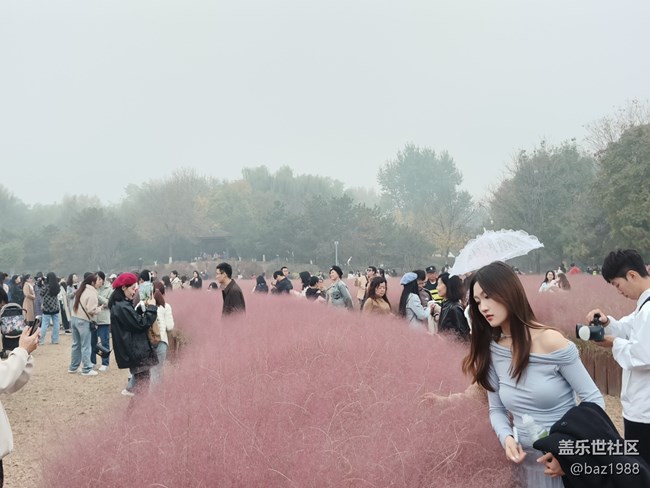 【奧森北園】+花海與燈光奧森