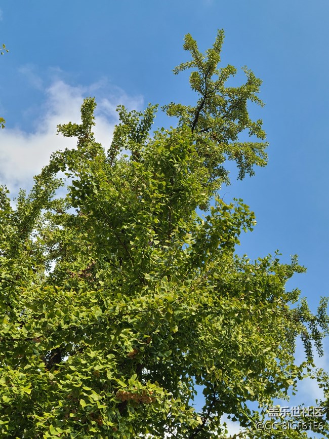 【十月的蜀國(guó)】+金秋十月