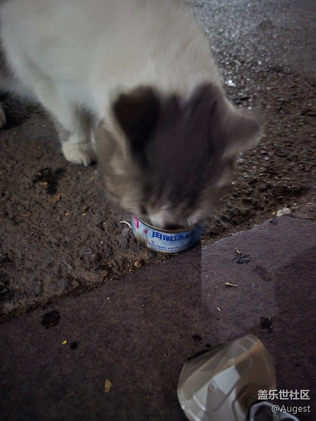 【秋韻養(yǎng)生】散步