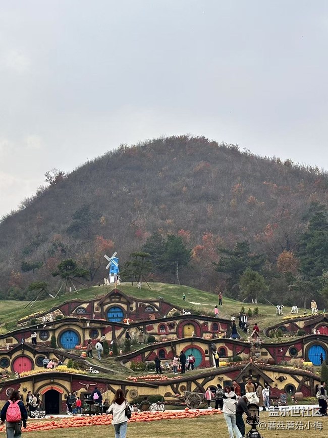 【回顧貼】抓住秋天的小尾巴，東北亞云端草原游