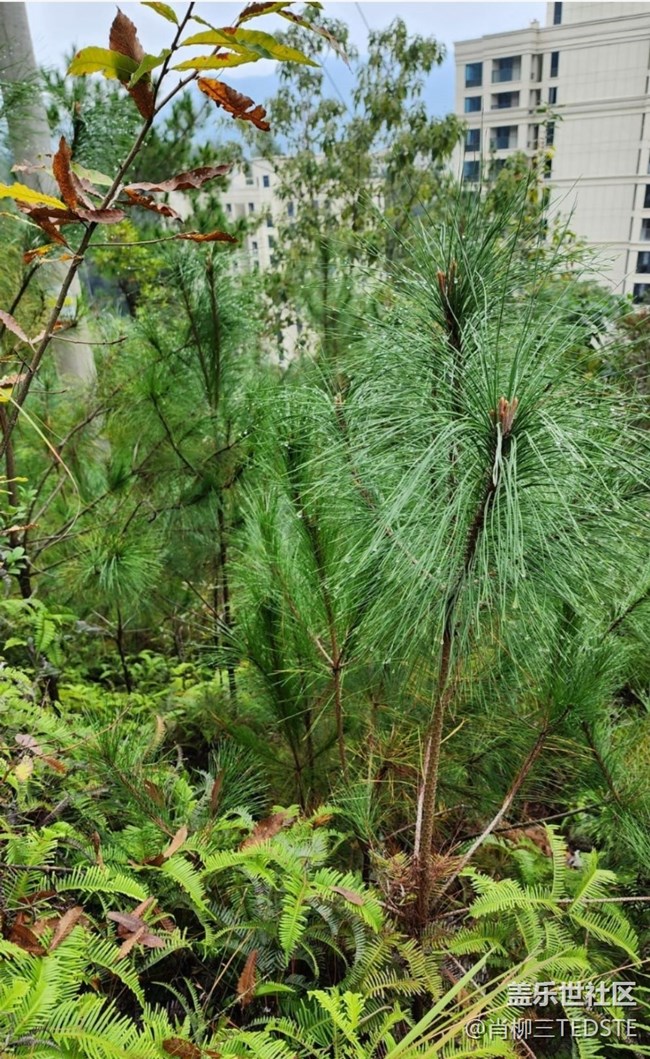 【最美秋色醉人心】秋景