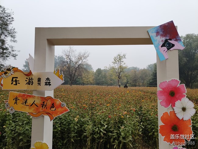 【奧森北園】+花海與燈光奧森