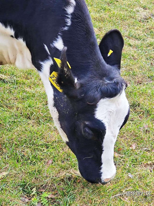 東北亞云端草原攝影活動回顧