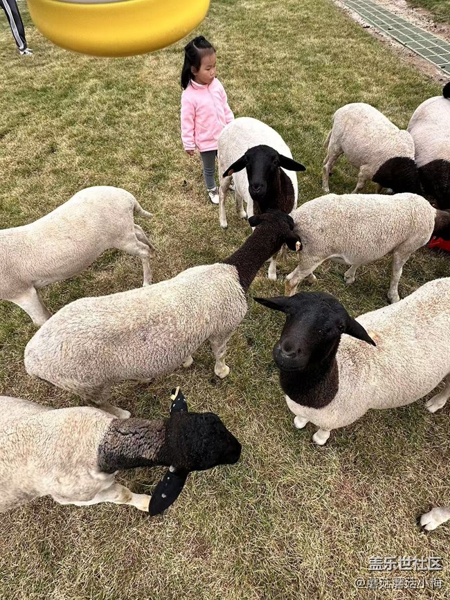 【回顧貼】抓住秋天的小尾巴，東北亞云端草原游