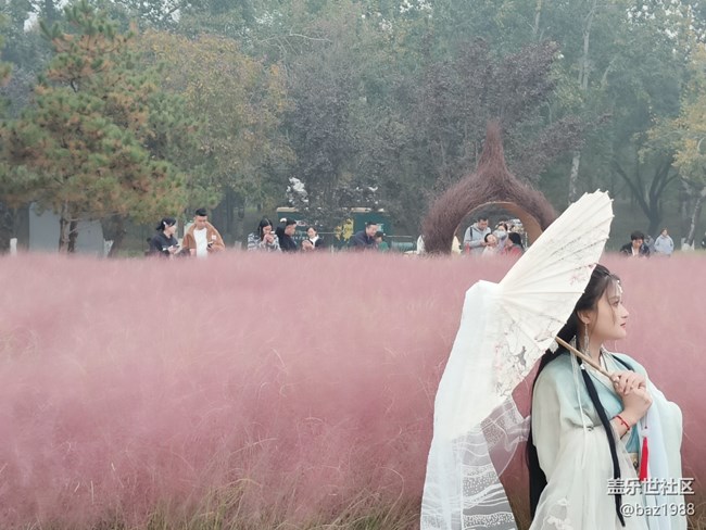 【奧森北園】+花海與燈光奧森