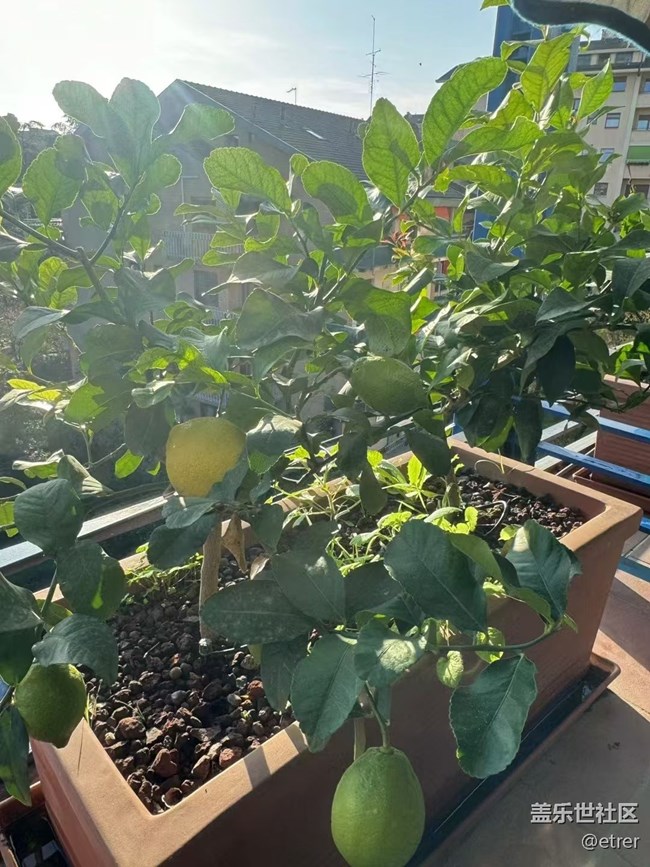 【Galaxy影像】自然的律動(dòng)+ 好天氣