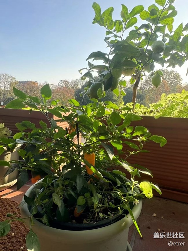 【Galaxy影像】自然的律動(dòng)+ 好天氣