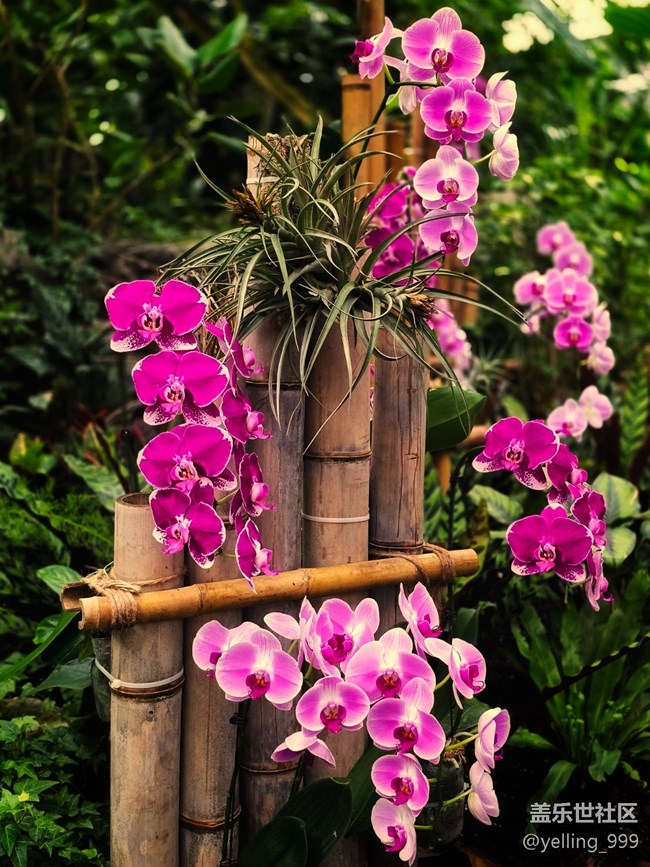 上海星部落10月26日上海植物園線下攝影活動(dòng)回顧帖 上海星部落10月26日上海植物園線下攝影活動(dòng)回顧帖