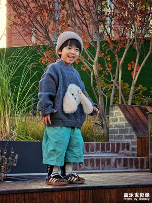 【我眼前的世界】+這幾天拍的小可愛