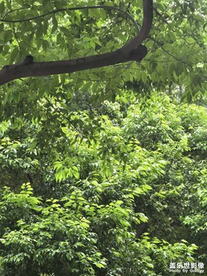 【我眼前的世界】+靜美世界