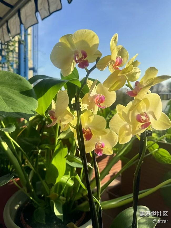 【Galaxy影像】自然的律動(dòng)+ 好天氣