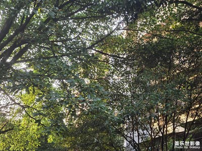 【我眼前的世界】+傍晚的世界