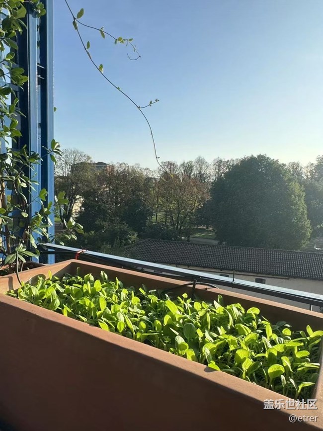 【Galaxy影像】自然的律動(dòng)+ 好天氣