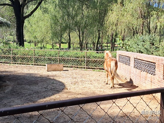 【十月開(kāi)心游】小動(dòng)物們