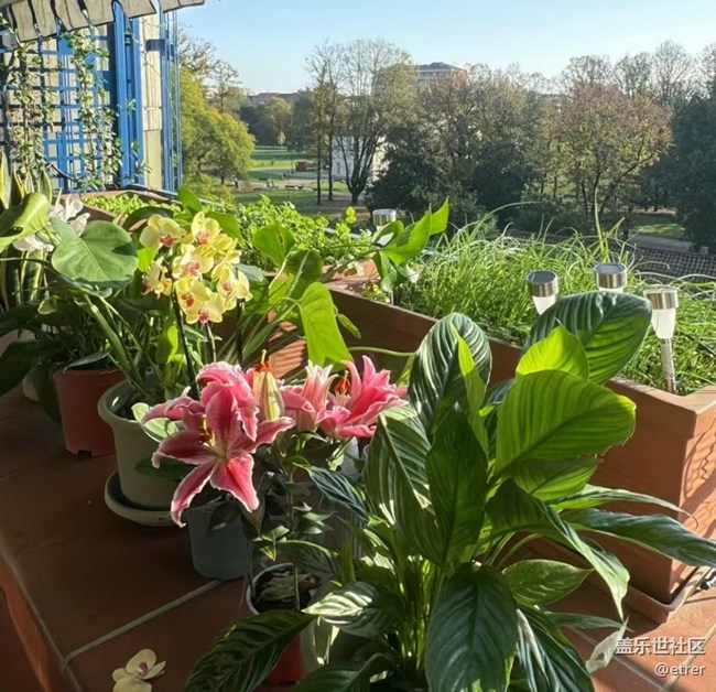 【Galaxy影像】自然的律動(dòng)+ 好天氣