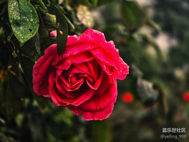 上海星部落10月26日上海植物園線下攝影活動(dòng)回顧帖 上海星部落10月26日上海植物園線下攝影活動(dòng)回顧帖