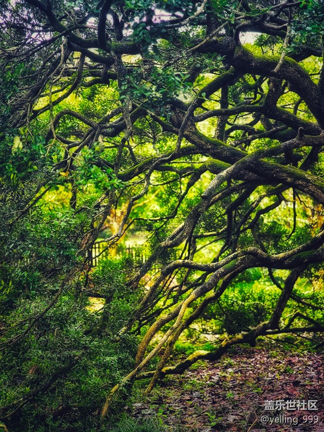 上海星部落10月26日上海植物園線下攝影活動(dòng)回顧帖 上海星部落10月26日上海植物園線下攝影活動(dòng)回顧帖