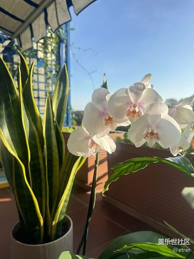 【Galaxy影像】自然的律動(dòng)+ 好天氣