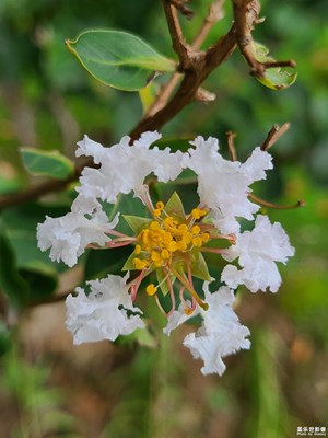 【我眼前的世界】+ 美麗秋天