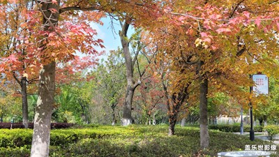 【我眼前的世界】+大美自然