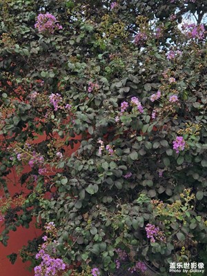 【我眼前的世界】+精彩的世界