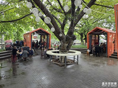 【我眼前的世界】雨潤的美景于生活