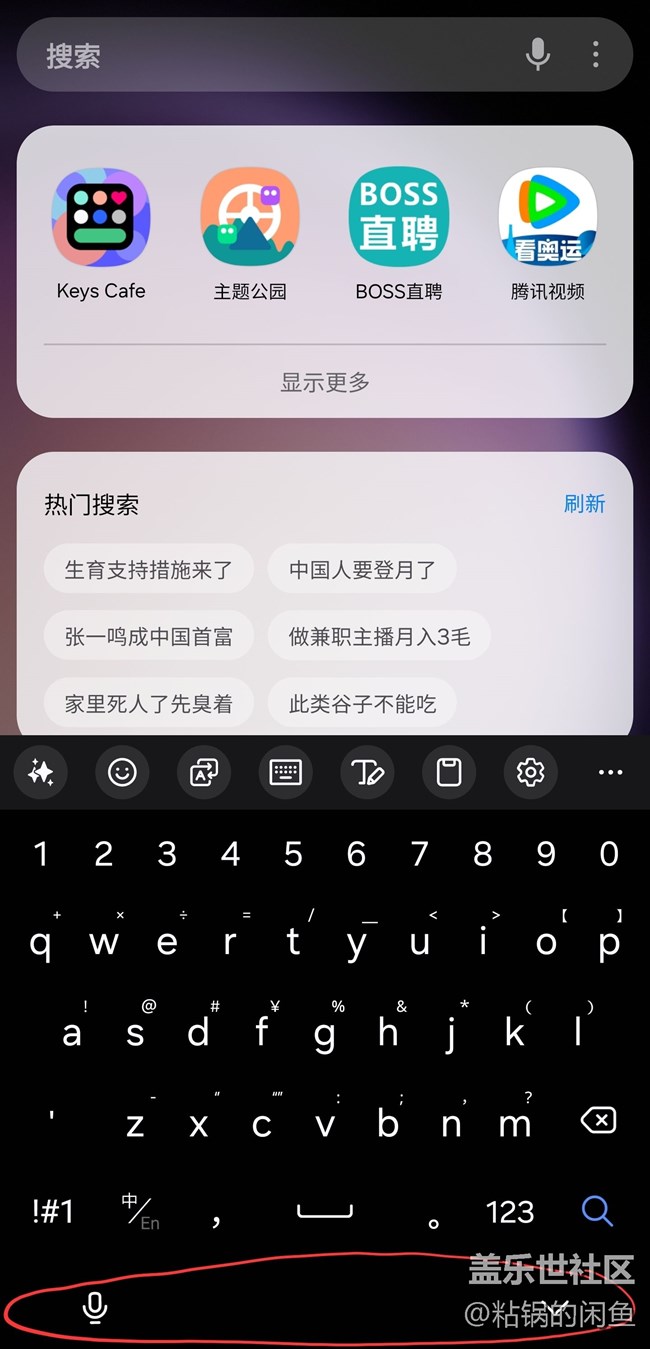 求助oneUI6.1 ，系統(tǒng)自帶輸入法怎么將底部小喇叭隱藏