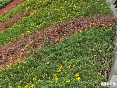 【我眼前的世界】+路邊隨手拍