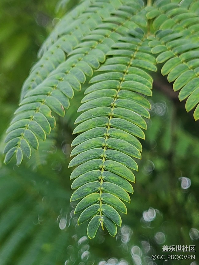 【金秋色彩】+秋日色彩