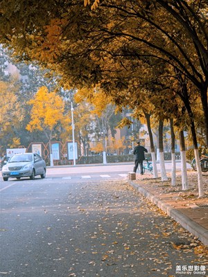 【生活禮贊】+ 一路紅葉