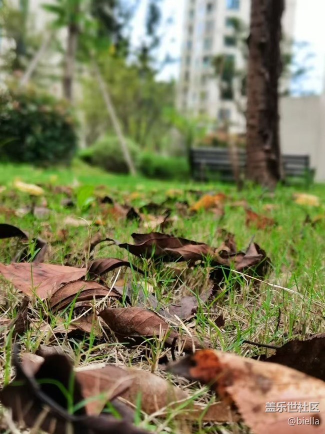 【Galaxy影像】自然的律動+ 秋天的顏色