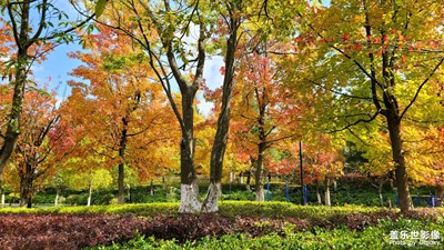 【生活禮贊】+多彩世界