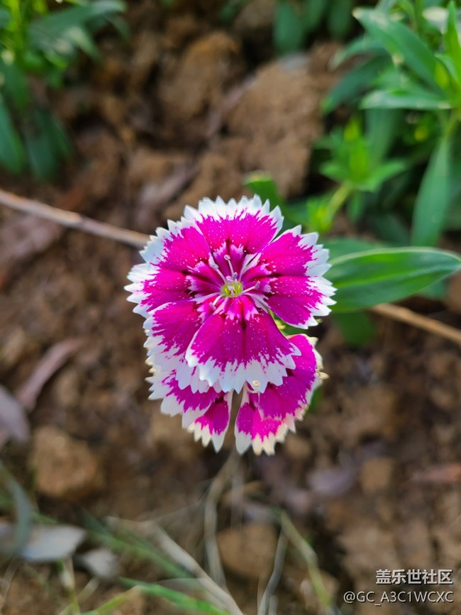 【十月的蜀國】公園景色