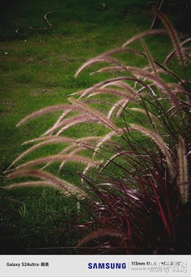 【生活禮贊】+秋