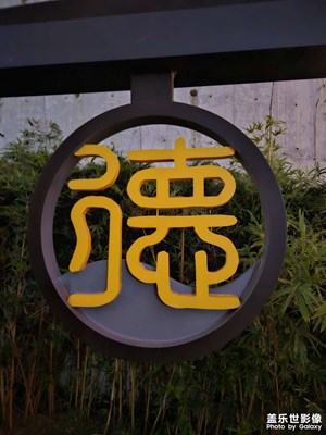 【生活禮贊】+ 行攝濕地