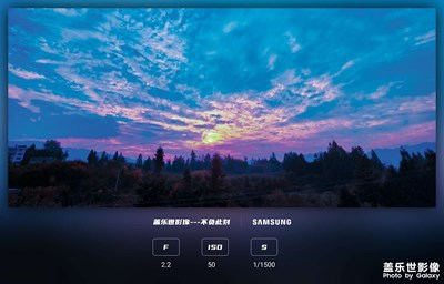 日落時(shí)樹木對(duì)天的景色