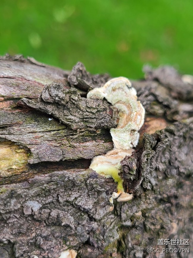 【金秋色彩】+秋日色彩