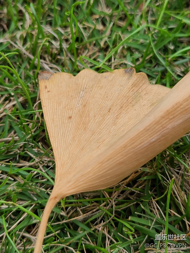 【金秋色彩】+秋日色彩